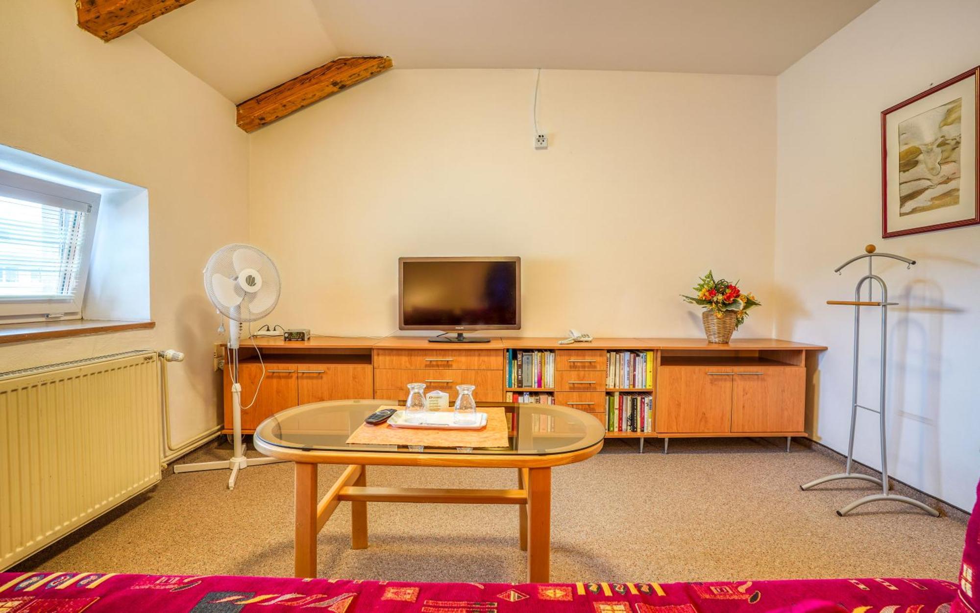 Hotel Dynamic Nová Dubnica Værelse billede