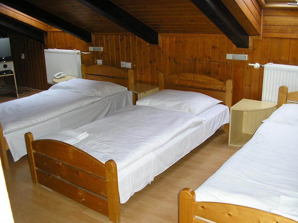 Hotel Dynamic Nová Dubnica Værelse billede